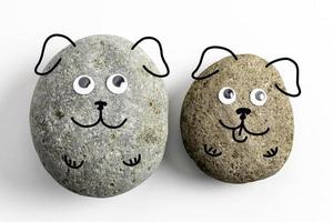 pet rock med googly ögon foto