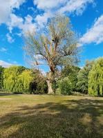 vacker lokal offentlig park i Luton Town of England, Storbritannien foto