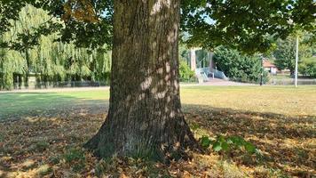 vackert landskap i England Storbritannien foto