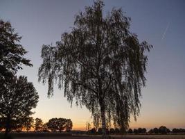 solnedgång i tyska muensterland foto