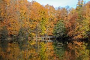 Buyuk sjö i Yedigoller nationalpark, Turkiet foto