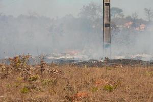 en penselbrand nära indianreservaten karriri-xoco och tuxa i nordvästra delen av brasilien, Brasilien foto