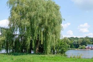 sjö nära borken i tyska muensterland foto