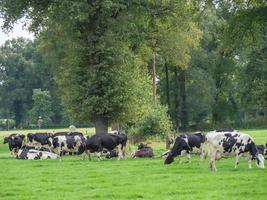 winterswijk i Nederländerna foto