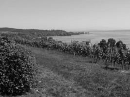 Bodensjön i Tyskland foto