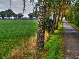 hösttid i Westfalen foto