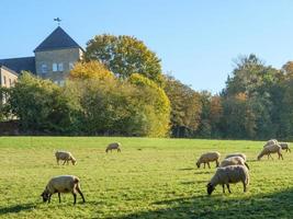 kloster i tyska muensterland foto