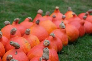 pumpor i det tyska muensterland foto