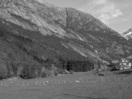 eidfjorden och hardangerfjorden i norge foto