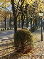 staden Nottuln i Westfalen foto