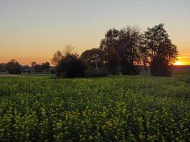 solnedgång i tyska muensterland foto