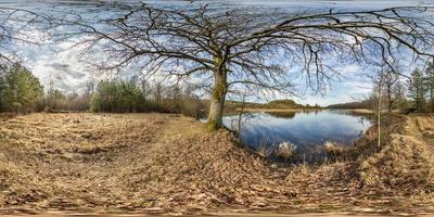 full sömlös sfärisk hdri panorama 360 graders vinkelvy på gångväg bland eklund med klumpiga grenar nära bred flod i ekvirektangulär projektion med klart vr ar innehåll foto