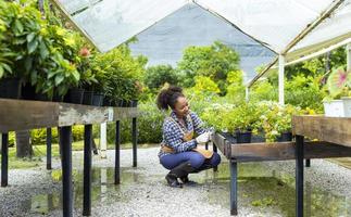 afrikansk amerikansk trädgårdsmästare dödar sin blomplanta på plantskola trädgårdscenter för infödda och exotiska växtodlarkoncept foto
