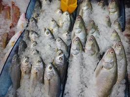 visning av rå fisk och skaldjur till salu foto