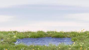 3D bakgrund med vatten utrymme hål display. natur piedestal med gul kutter blomma gräs himmel. 3d rendering. foto