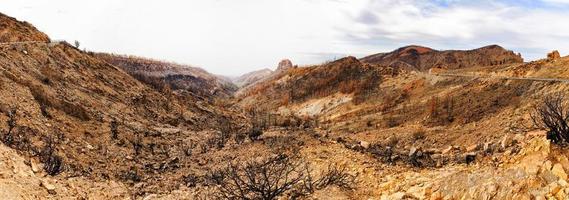 brända träd i bergsöknen, panorama, vulkanen teide, teneriffa, kanariska öarna foto