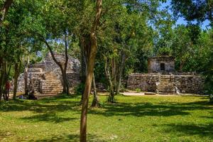 mayaruiner i skuggan av träd i djungeln tropisk skog playa del carmen, riviera maya, yu atan, mexiko foto