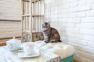 bord med vattenkokare och kopp, stolar, hyllor på bakgrunden av en vit tegelvägg i vintage loftinteriör med katt foto