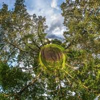 liten planetomvandling av sfäriskt panorama 360 grader. sfärisk abstrakt flygfoto i piny skog. utrymmets krökning. foto