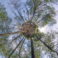 liten planetomvandling av sfäriskt panorama 360 grader. sfärisk abstrakt flygfoto i skogen. utrymmets krökning. foto