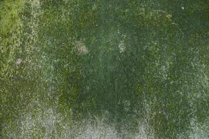 svamp grön mossa textur abstrakt bakgrund betongvägg. rostig, grungy, grynig vintage bakgrund foto