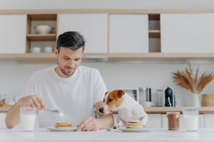 människor, mat, dryck och husdjur koncept. horisontell bild av stilig ung man äter läckra söta pannkakor, hans stamtavla hund ser med frestelse, spendera helgen hemma, posera mot köket interiör. foto