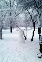 snögubbe. vinter i stadsparken. fantastisk karaktär. jul. nyår. vinternöje. snögubbe modellering. ett vänligt leende. foto