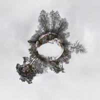 vinter liten planet omvandling av sfäriskt panorama 360 grader. sfärisk abstrakt flygfoto i skogen. utrymmets krökning. foto