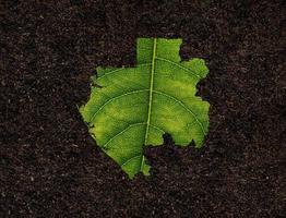 gabon karta gjord av gröna löv, koncept ekologi karta grönt blad på jord bakgrund foto