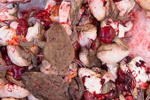 grodor till salu på thailändsk matmarknad foto