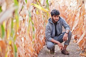 sydasiatisk agronom bonde som inspekterar majsfältgård. jordbruksproduktion koncept. foto