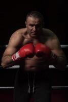 professionell kickboxare i träningsringen foto