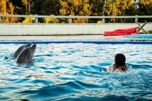 kaukasisk kvinna simma med delfin i poolen. batumi simma med delfinupplevelse koncept foto
