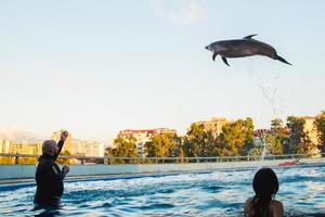 batumi, georgien ,2022 - delfin hoppar upp i luften i delfinariepoolen med buss som ses av turister på utställning foto