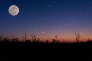 natthimlen över ett fält med måne foto