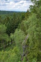 utsikt över skogsbygden från ett berg foto