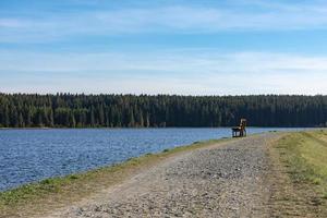 vandringsled med träbänk runt en sjö foto