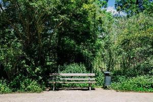 bänk i stadsparken foto