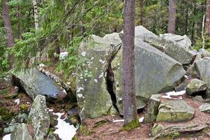 dovbush stenar i grön skog vid Karpaterna. foto