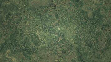jord och gräs bakgrund hög kvalitet textur detaljer foto