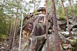 dovbush stenar i grön skog vid Karpaterna. foto