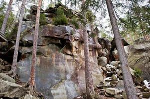 dovbush stenar i grön skog vid Karpaterna. foto