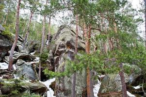 dovbush stenar i grön skog vid Karpaterna. foto