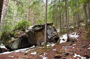 dovbush stenar i grön skog vid Karpaterna. foto