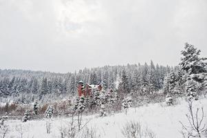 stort hus slott vid tallar skog täckt av snö vid Karpaterna. vackra vinterlandskap. frost natur. foto