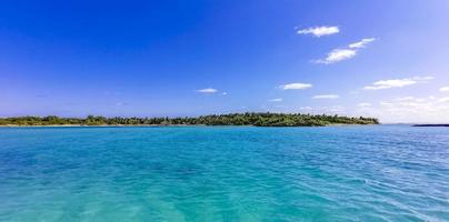 vacker tropisk naturlig strand och skog panorama contoy ön mexico. foto