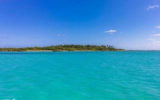 vacker tropisk naturlig strand och skog panorama contoy ön mexico. foto