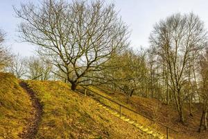 vacker naturskog hed och vinterlandskap panorama tyskland. foto