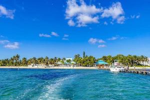 båttur cancun mexico till ön mujeres contoy valhaj. foto