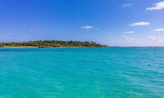 vacker tropisk naturlig strand och skog panorama contoy ön mexico. foto